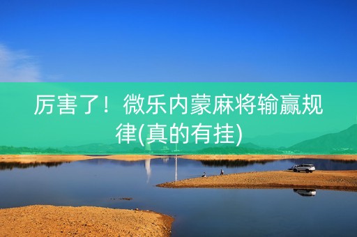 厉害了！微乐内蒙麻将输赢规律(真的有挂)
