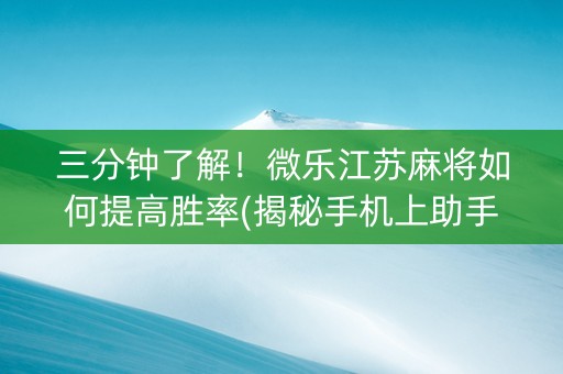 三分钟了解！微乐江苏麻将如何提高胜率(揭秘手机上助手软件)