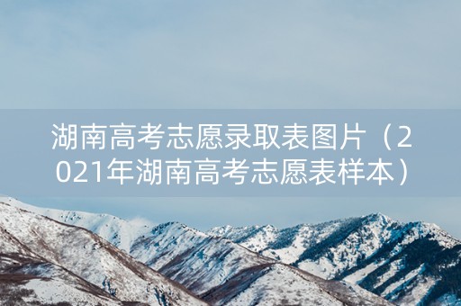 湖南高考志愿录取表图片（2021年湖南高考志愿表样本）
