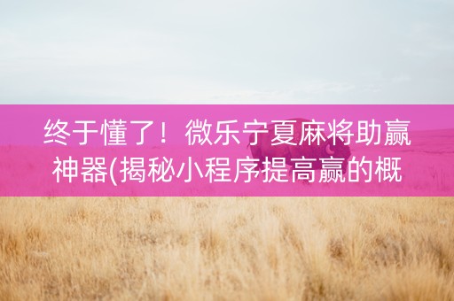 终于懂了！微乐宁夏麻将助赢神器(揭秘小程序提高赢的概率)