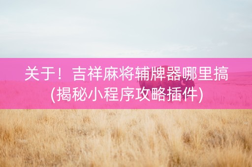 关于！吉祥麻将辅牌器哪里搞(揭秘小程序攻略插件)
