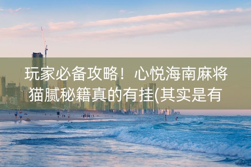 玩家必备攻略！心悦海南麻将猫腻秘籍真的有挂(其实是有挂确实有挂)
