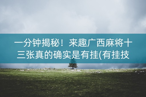 一分钟揭秘！来趣广西麻将十三张真的确实是有挂(有挂技巧辅助器)