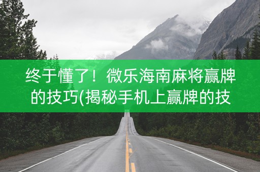 终于懂了！微乐海南麻将赢牌的技巧(揭秘手机上赢牌的技巧)