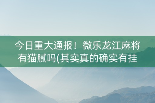 今日重大通报！微乐龙江麻将有猫腻吗(其实真的确实有挂)