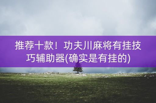 推荐十款！功夫川麻将有挂技巧辅助器(确实是有挂的)