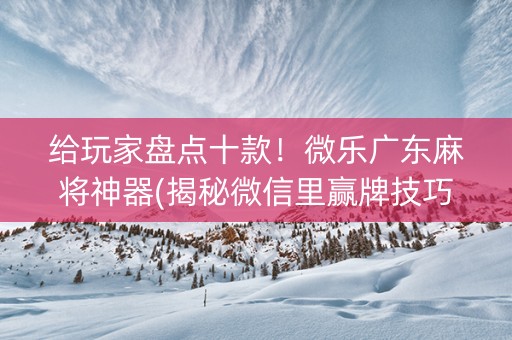给玩家盘点十款！微乐广东麻将神器(揭秘微信里赢牌技巧)