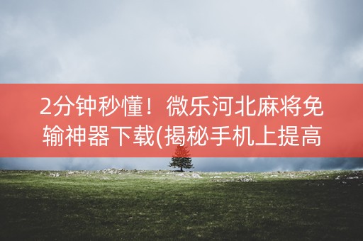 2分钟秒懂！微乐河北麻将免输神器下载(揭秘手机上提高胜率)