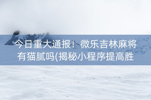 今日重大通报！微乐吉林麻将有猫腻吗(揭秘小程序提高胜率)