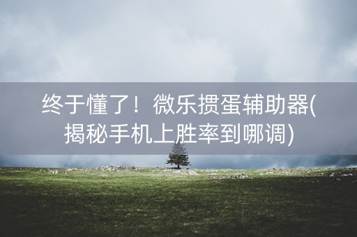 终于懂了！微乐掼蛋辅助器(揭秘手机上胜率到哪调)