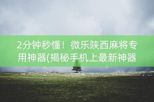 2分钟秒懂！微乐陕西麻将专用神器(揭秘手机上最新神器下载)