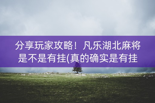 分享玩家攻略！凡乐湖北麻将是不是有挂(真的确实是有挂)