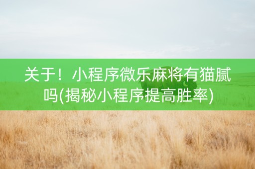 关于！小程序微乐麻将有猫腻吗(揭秘小程序提高胜率)