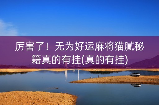 厉害了！无为好运麻将猫腻秘籍真的有挂(真的有挂)