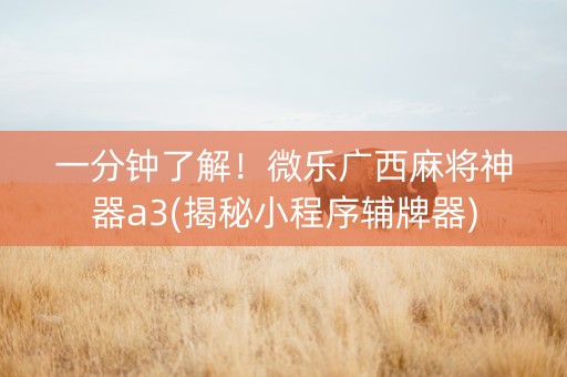 一分钟了解！微乐广西麻将神器a3(揭秘小程序辅牌器)