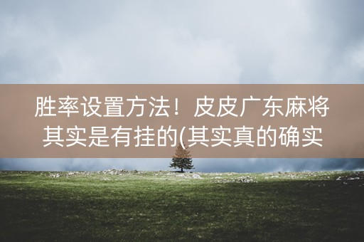 胜率设置方法！皮皮广东麻将其实是有挂的(其实真的确实有挂)