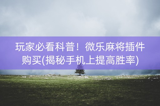 玩家必看科普！微乐麻将插件购买(揭秘手机上提高胜率)