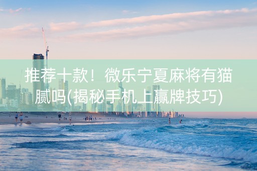 推荐十款！微乐宁夏麻将有猫腻吗(揭秘手机上赢牌技巧)