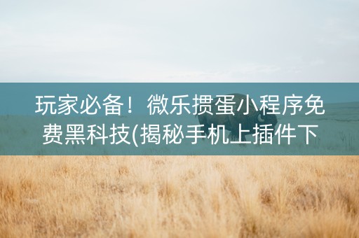 玩家必备！微乐掼蛋小程序免费黑科技(揭秘手机上插件下载)