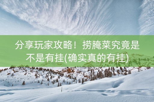 分享玩家攻略！捞腌菜究竟是不是有挂(确实真的有挂)