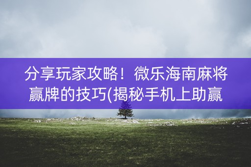 分享玩家攻略！微乐海南麻将赢牌的技巧(揭秘手机上助赢神器)