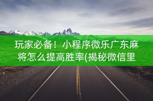 玩家必备！小程序微乐广东麻将怎么提高胜率(揭秘微信里必备神器)