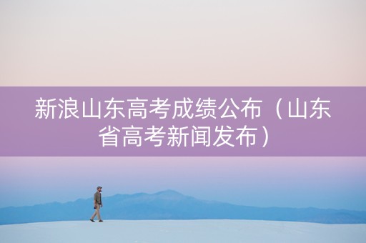 新浪山东高考成绩公布（山东省高考新闻发布）