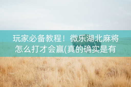 玩家必备教程！微乐湖北麻将怎么打才会赢(真的确实是有挂)