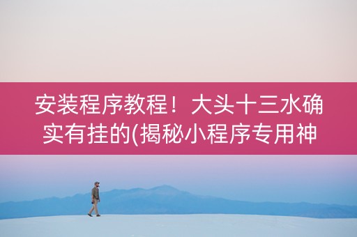 安装程序教程！大头十三水确实有挂的(揭秘小程序专用神器)