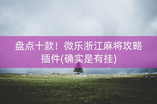 盘点十款！微乐浙江麻将攻略插件(确实是有挂)
