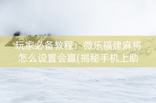 玩家必备教程！微乐福建麻将怎么设置会赢(揭秘手机上助赢软件)