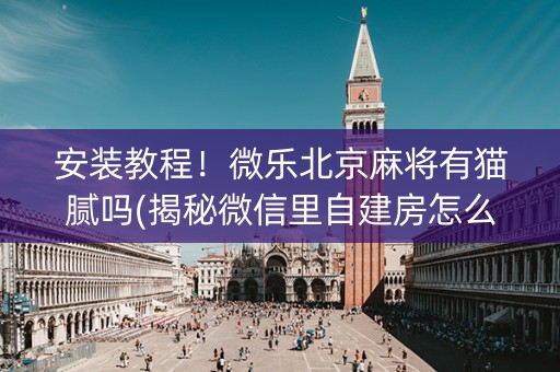 安装教程！微乐北京麻将有猫腻吗(揭秘微信里自建房怎么赢)