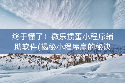 终于懂了！微乐掼蛋小程序辅助软件(揭秘小程序赢的秘诀)