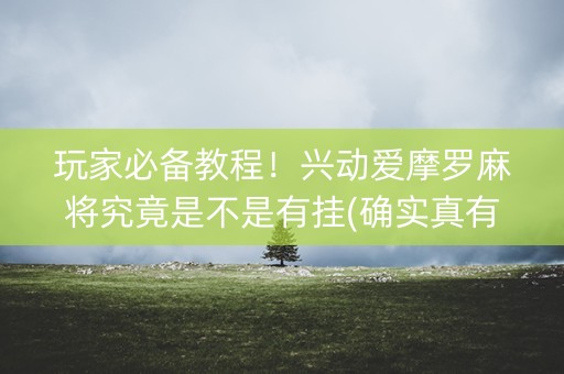 玩家必备教程！兴动爱摩罗麻将究竟是不是有挂(确实真有挂)