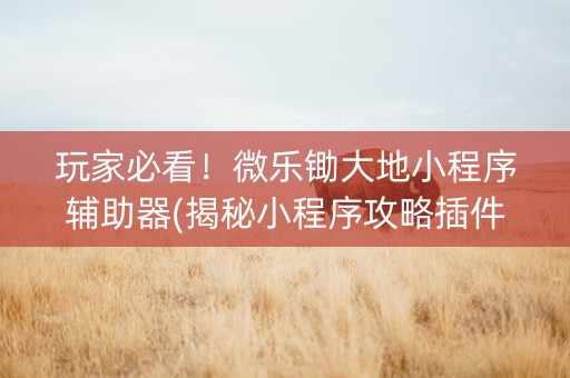玩家必看！微乐锄大地小程序辅助器(揭秘小程序攻略插件)