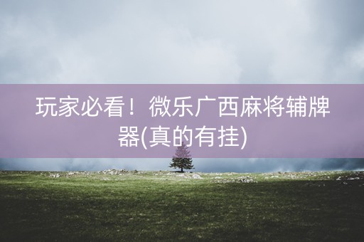 玩家必看！微乐广西麻将辅牌器(真的有挂)