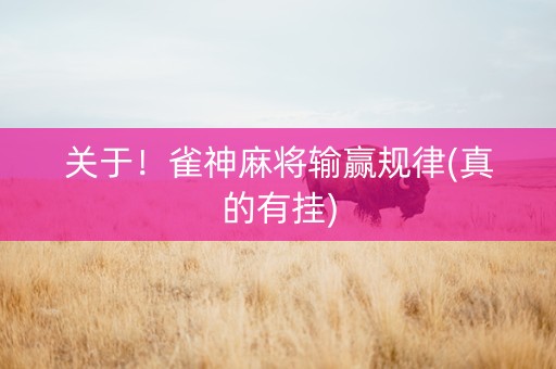 关于！雀神麻将输赢规律(真的有挂)