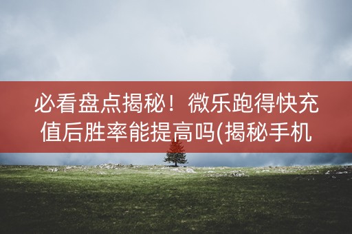 必看盘点揭秘！微乐跑得快充值后胜率能提高吗(揭秘手机上专用神器下载)