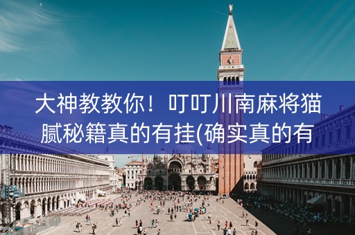 大神教教你！叮叮川南麻将猫腻秘籍真的有挂(确实真的有挂)