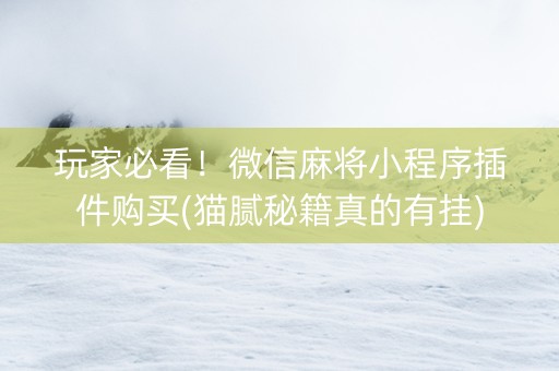 玩家必看！微信麻将小程序插件购买(猫腻秘籍真的有挂)