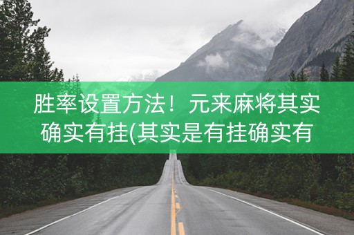 胜率设置方法！元来麻将其实确实有挂(其实是有挂确实有挂)