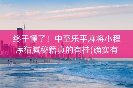 终于懂了！中至乐平麻将小程序猫腻秘籍真的有挂(确实有挂吗)