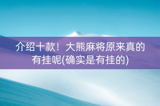 介绍十款！大熊麻将原来真的有挂呢(确实是有挂的)
