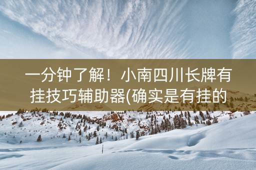 一分钟了解！小南四川长牌有挂技巧辅助器(确实是有挂的)
