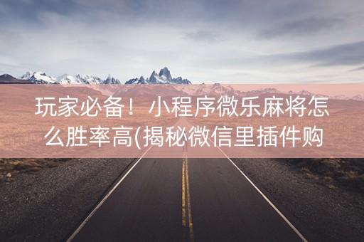 玩家必备！小程序微乐麻将怎么胜率高(揭秘微信里插件购买)
