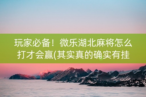 玩家必备！微乐湖北麻将怎么打才会赢(其实真的确实有挂)