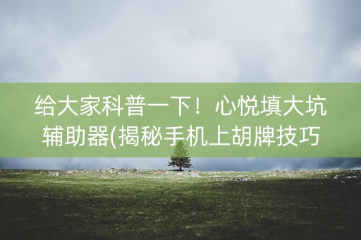 给大家科普一下！心悦填大坑辅助器(揭秘手机上胡牌技巧)