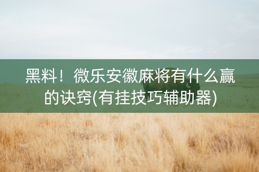 黑料！微乐安徽麻将有什么赢的诀窍(有挂技巧辅助器)