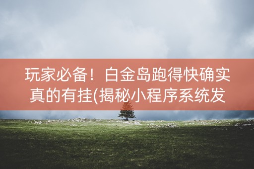 玩家必备！白金岛跑得快确实真的有挂(揭秘小程序系统发好牌)