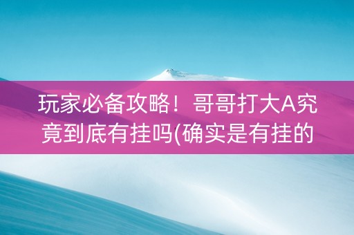 玩家必备攻略！哥哥打大A究竟到底有挂吗(确实是有挂的)